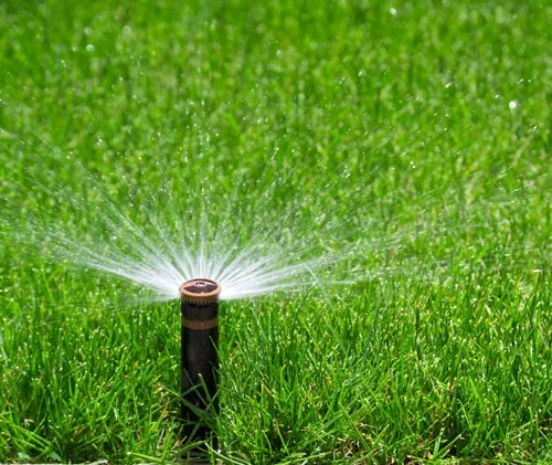 Lawn Irrigation