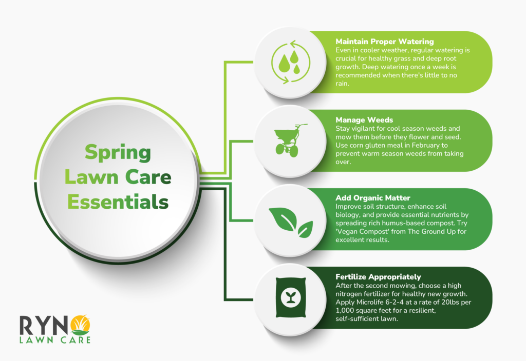 spring lawn care essential tips