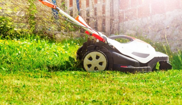 lawn mower maintenance tips