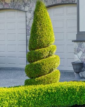 Tree Shrub Trimming Ryno Lawn Care Llc