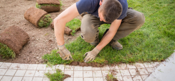 sod installation grapevine texas lawn