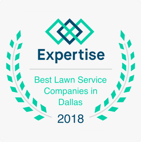 expertise best lawn service award