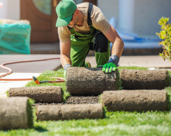 sod installation service carrollton