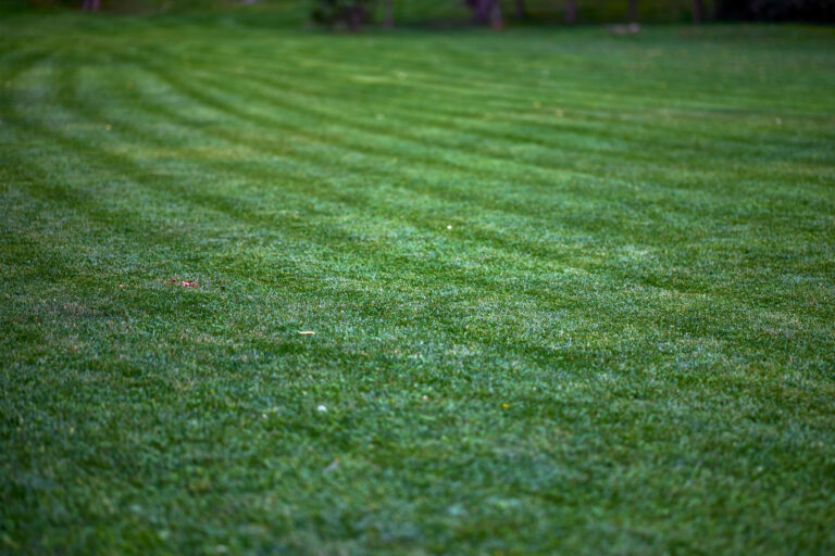 carrollton lawn fertilization and weed control