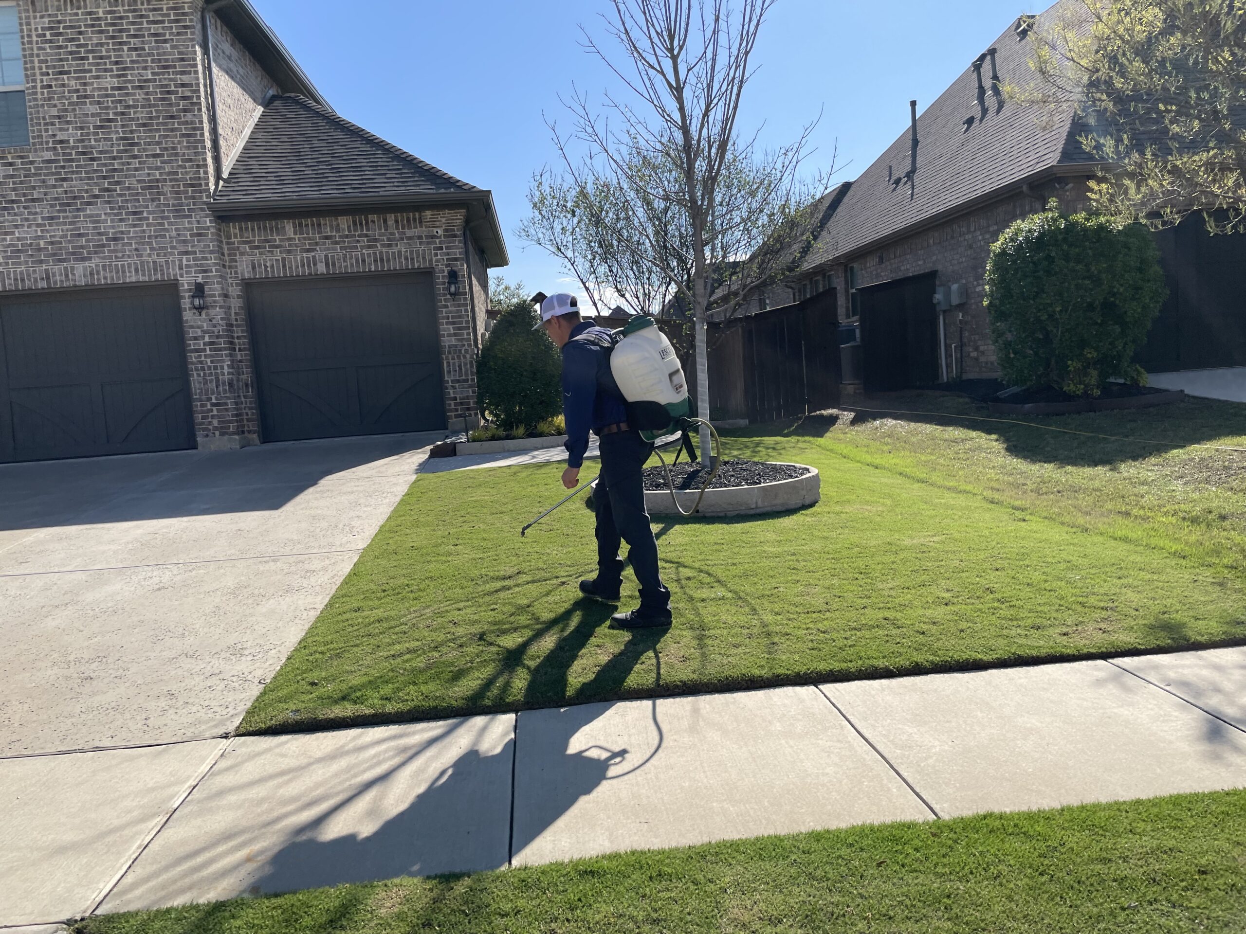 patchy lawn repair