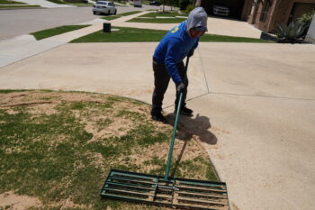 how to fix a bumpy lawn