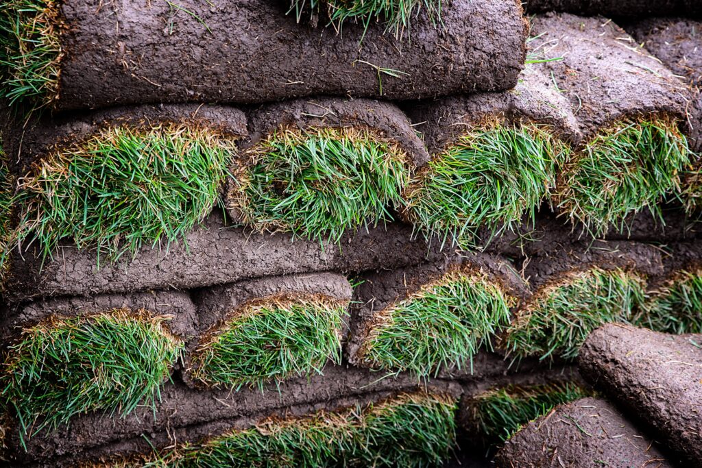 the colony sod installation