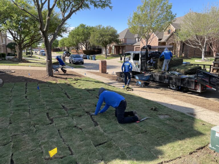 sod install frisco