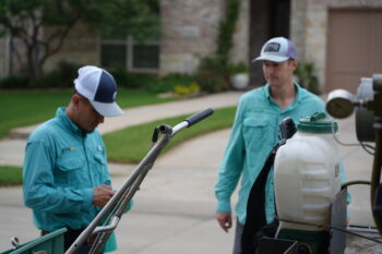 weed control and fertilization frisco