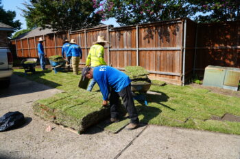 sod install argyle