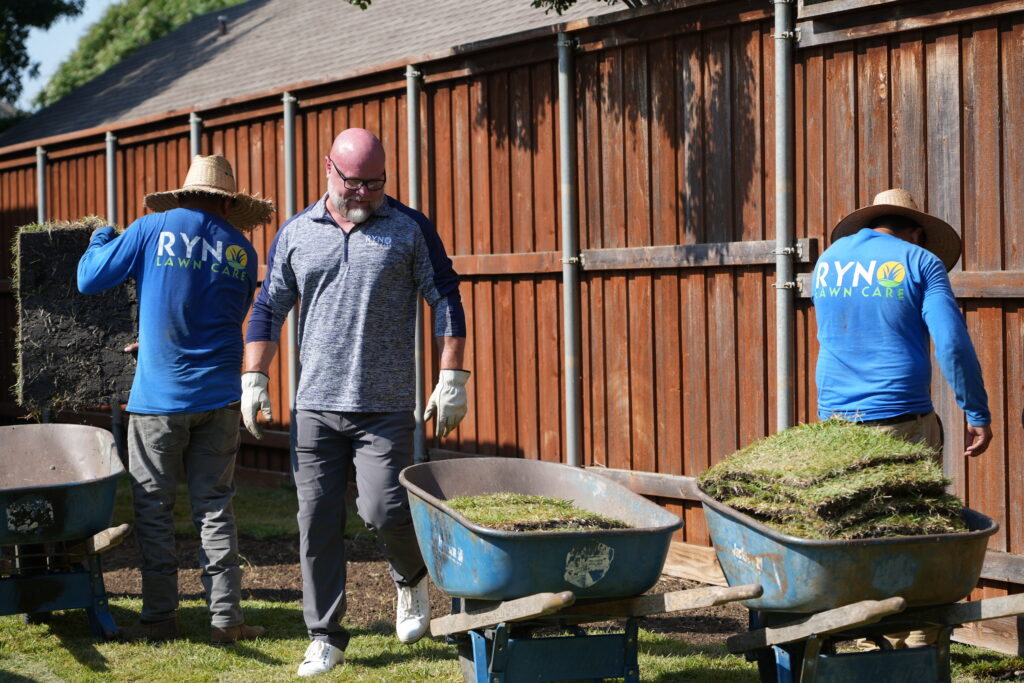 sod install carrollton