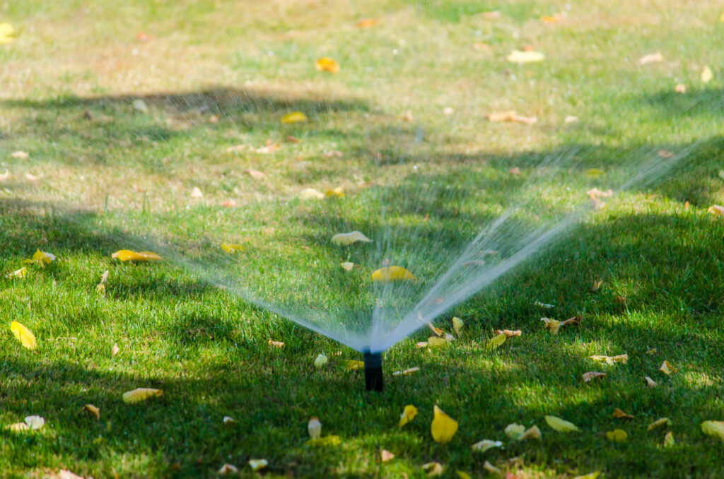 should i water lawn in fall